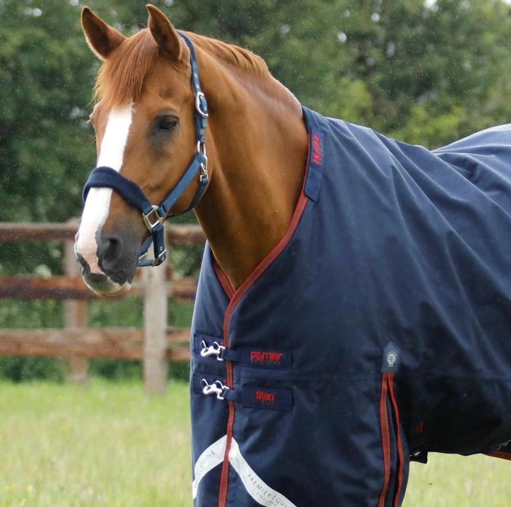 Premier Equine Titan Turnout Rug 450g Navy