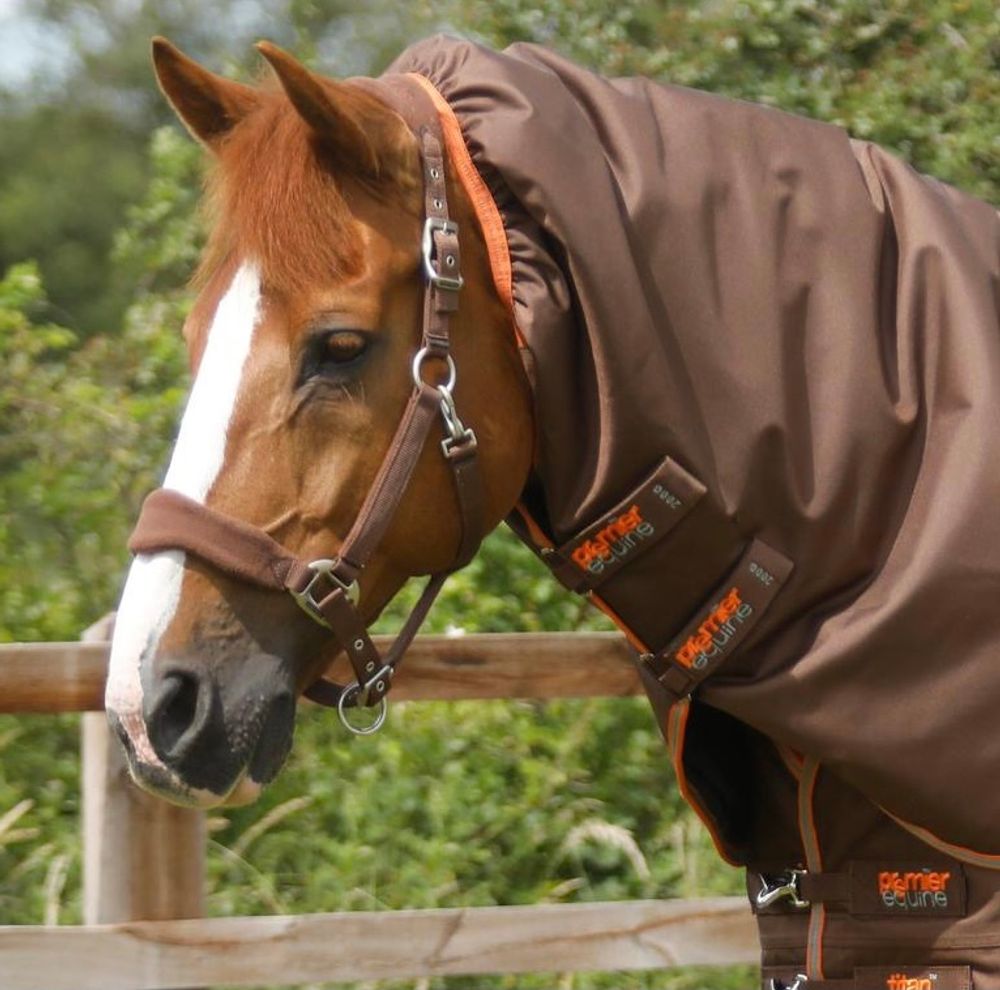 Premier Equine Titan Turnout Rug 300g Brown