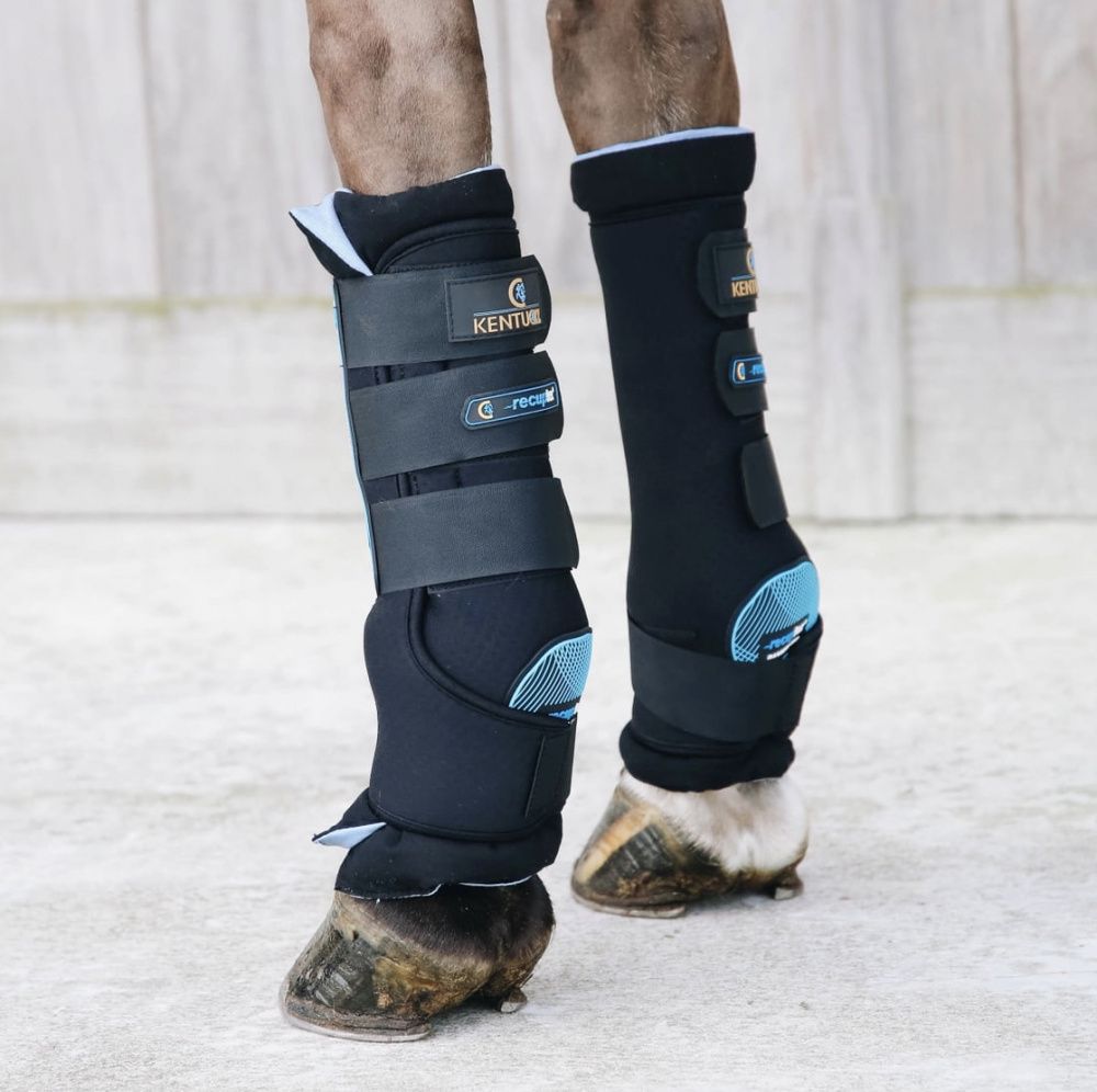 Kentucky Magnetic Stable Boots Recuptex