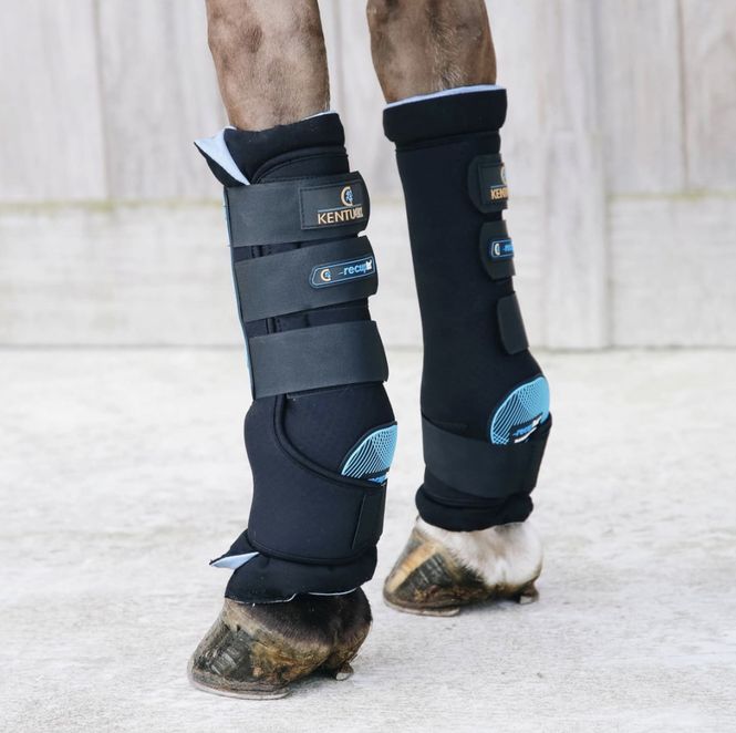 Hovedbilde Kentucky Magnetic Stable Boots Recuptex