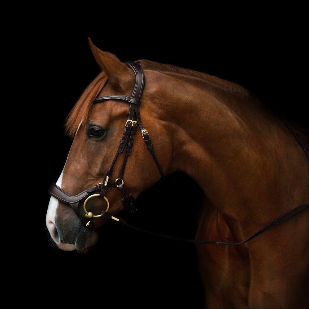Utzon Bristol Bridle Brown