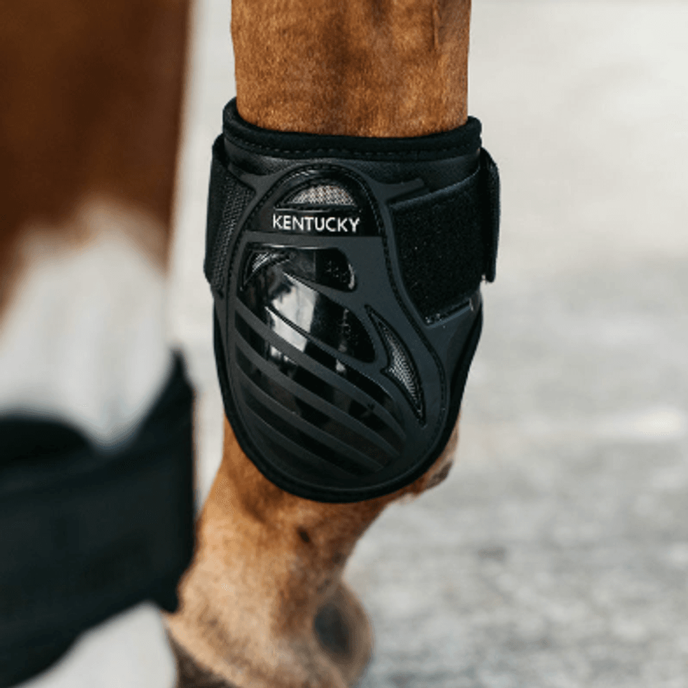 Kentucky Young Horses Fetlock Boots Black 