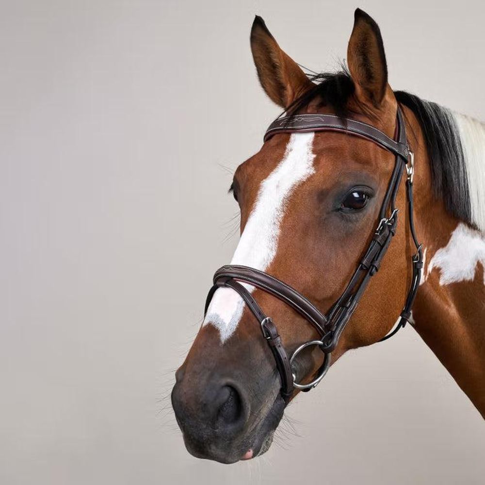 Dyon Working Collection Flash Noseband Bridle w/Snap Hooks