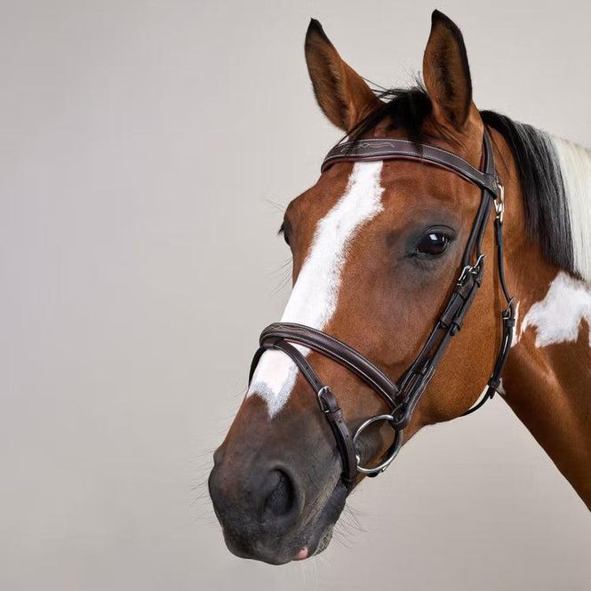 Hovedbilde Dyon Working Collection Flash Noseband Bridle ...