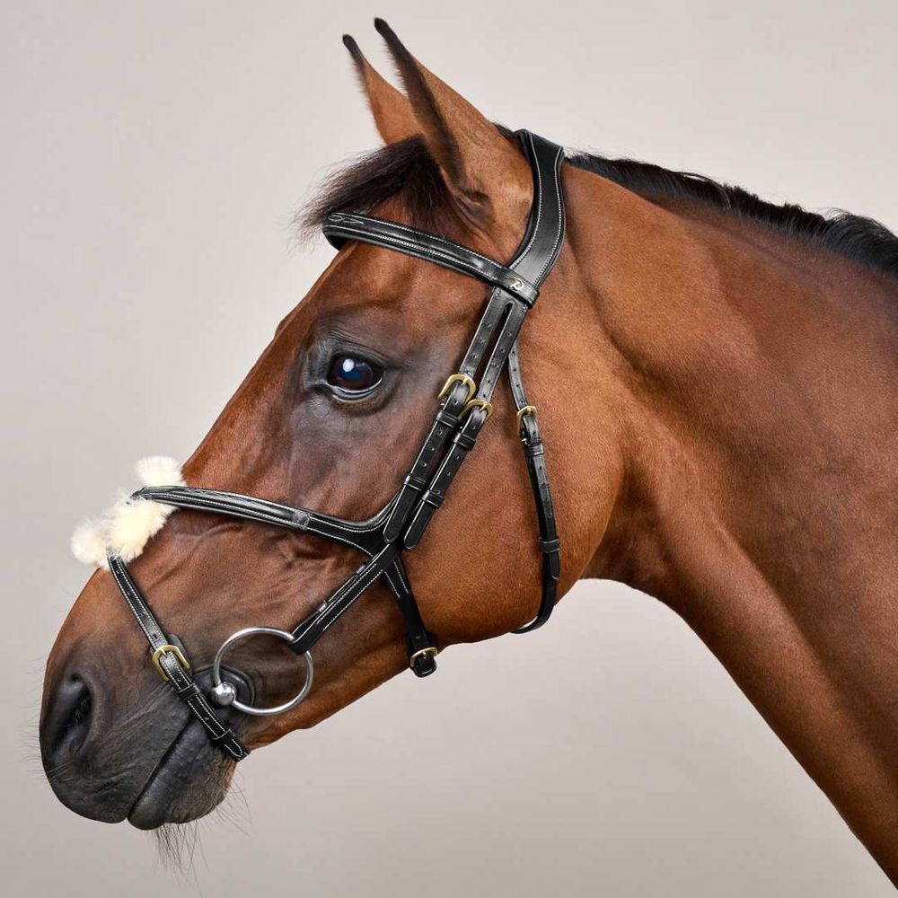 Dy’on  D Collection Fig 8 Noseband Bridle 