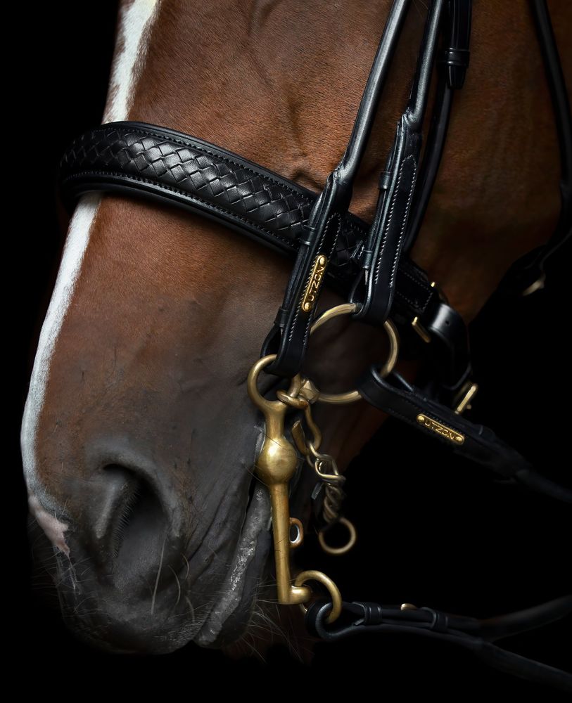 Utzon Olympic Double Bridle Black 