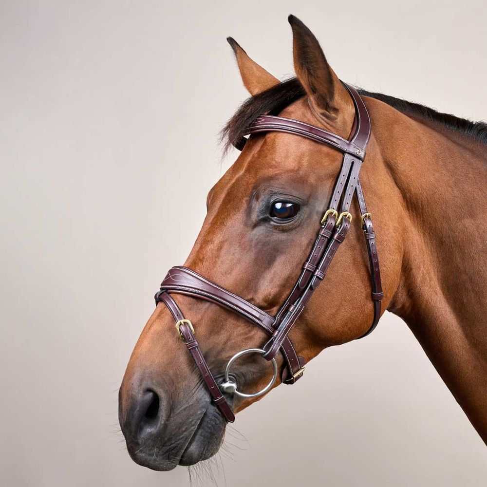 Dy’on D Collection Anatomic Flash Noseband Bridle 